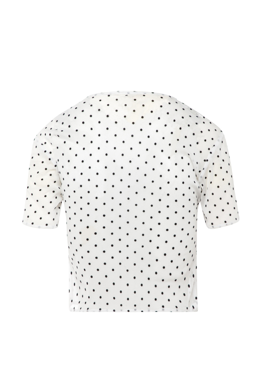 Ladies Short Sleeve Top