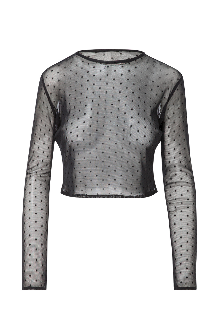 Ladies Long Sleeve Top