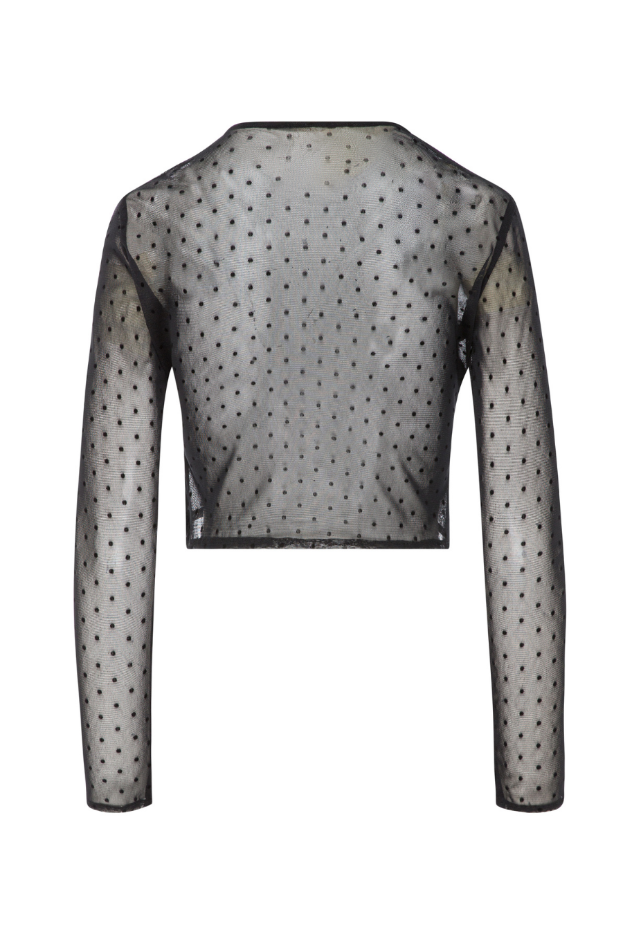 Ladies Long Sleeve Top